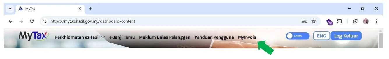 MyInvois Top Menu